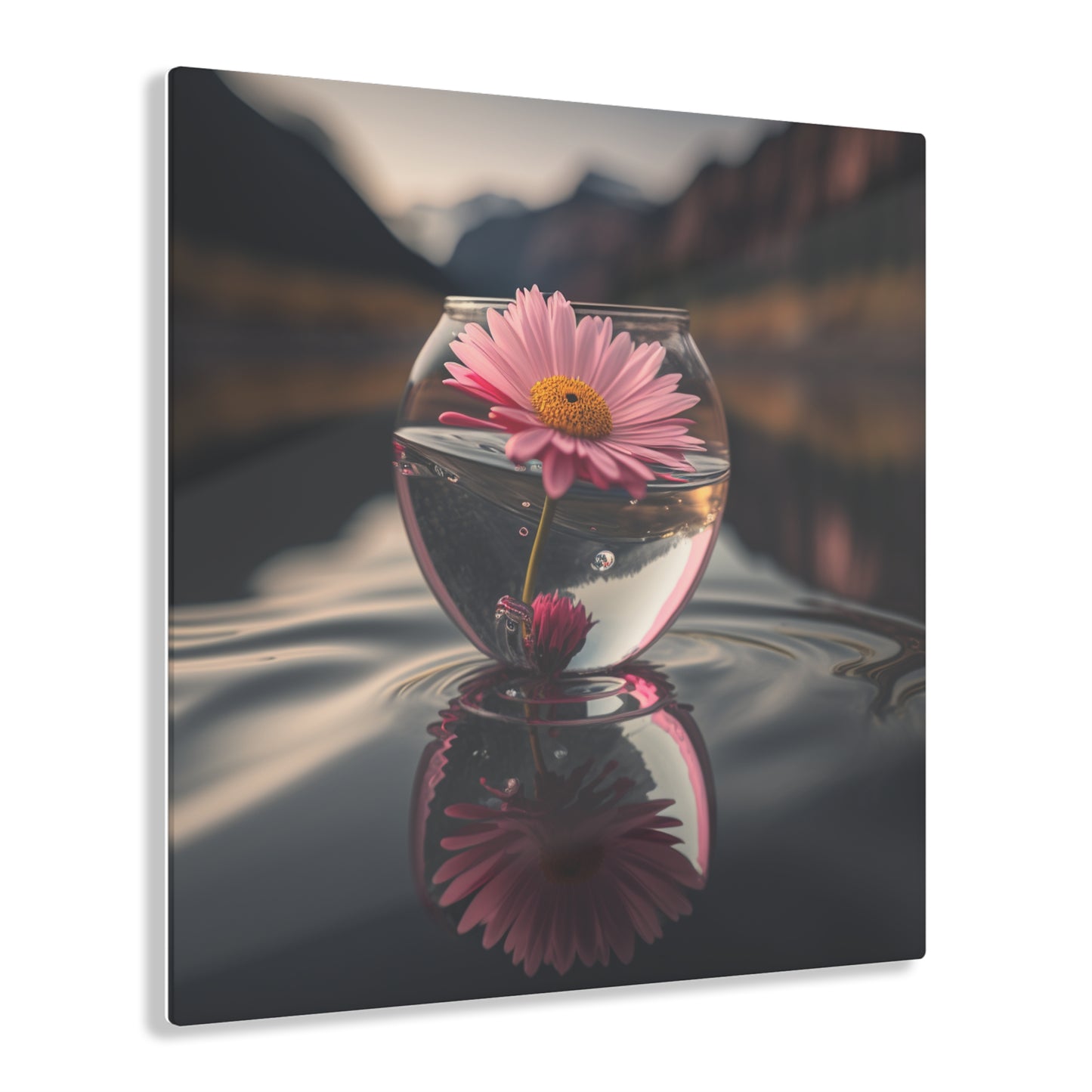 Acrylic Prints Daisy in a vase 2