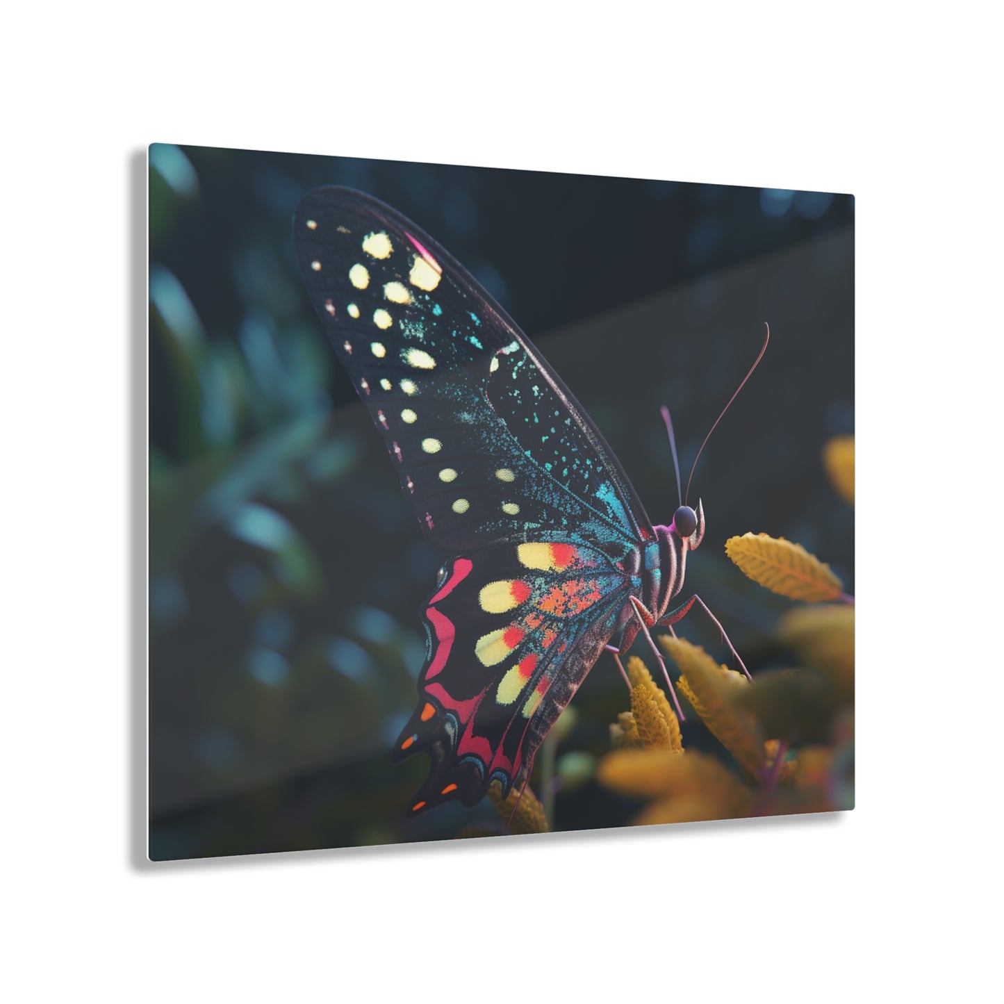 Acrylic Prints Hyper Colorful Butterfly Macro 2