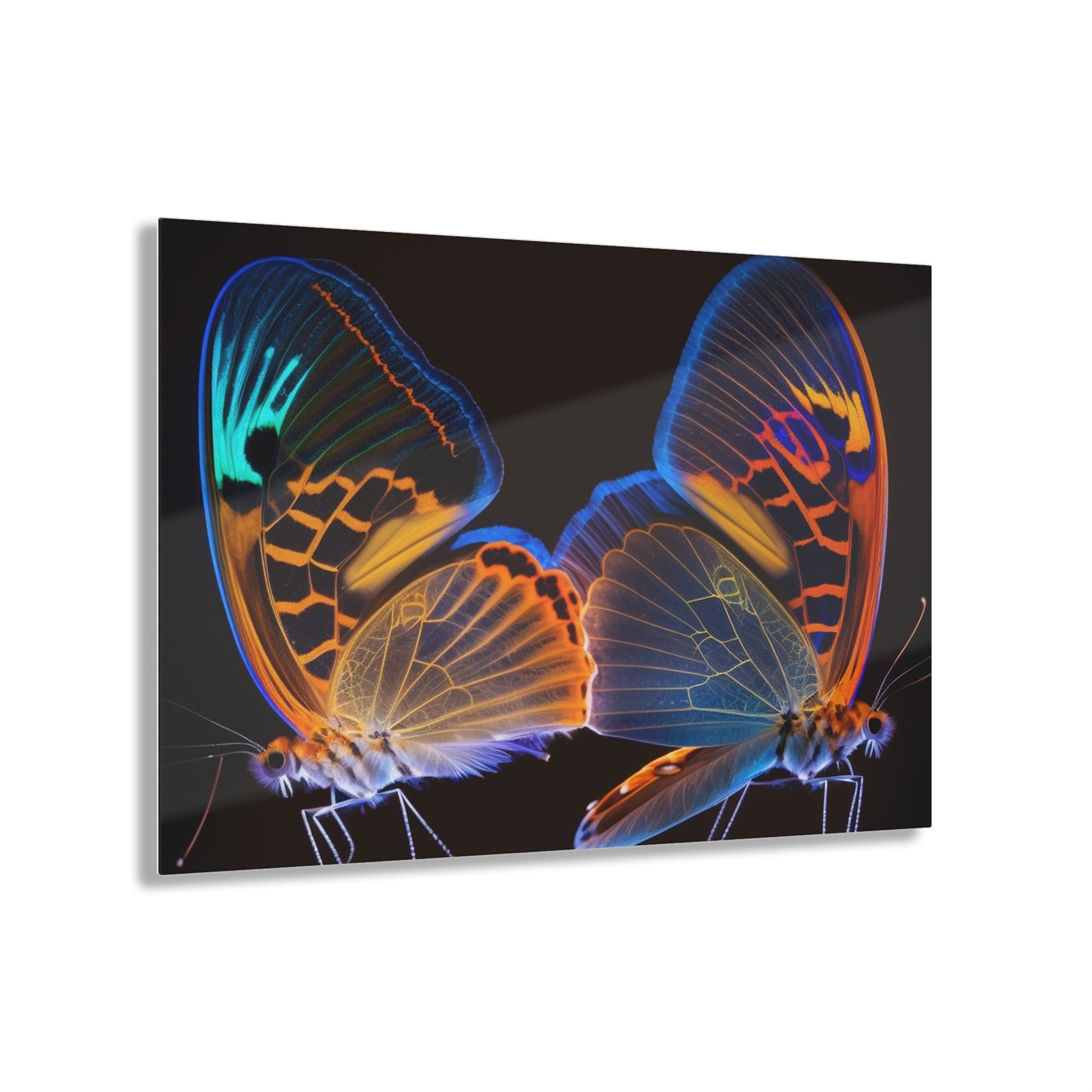 Acrylic Prints Neon Glo Butterfly 2