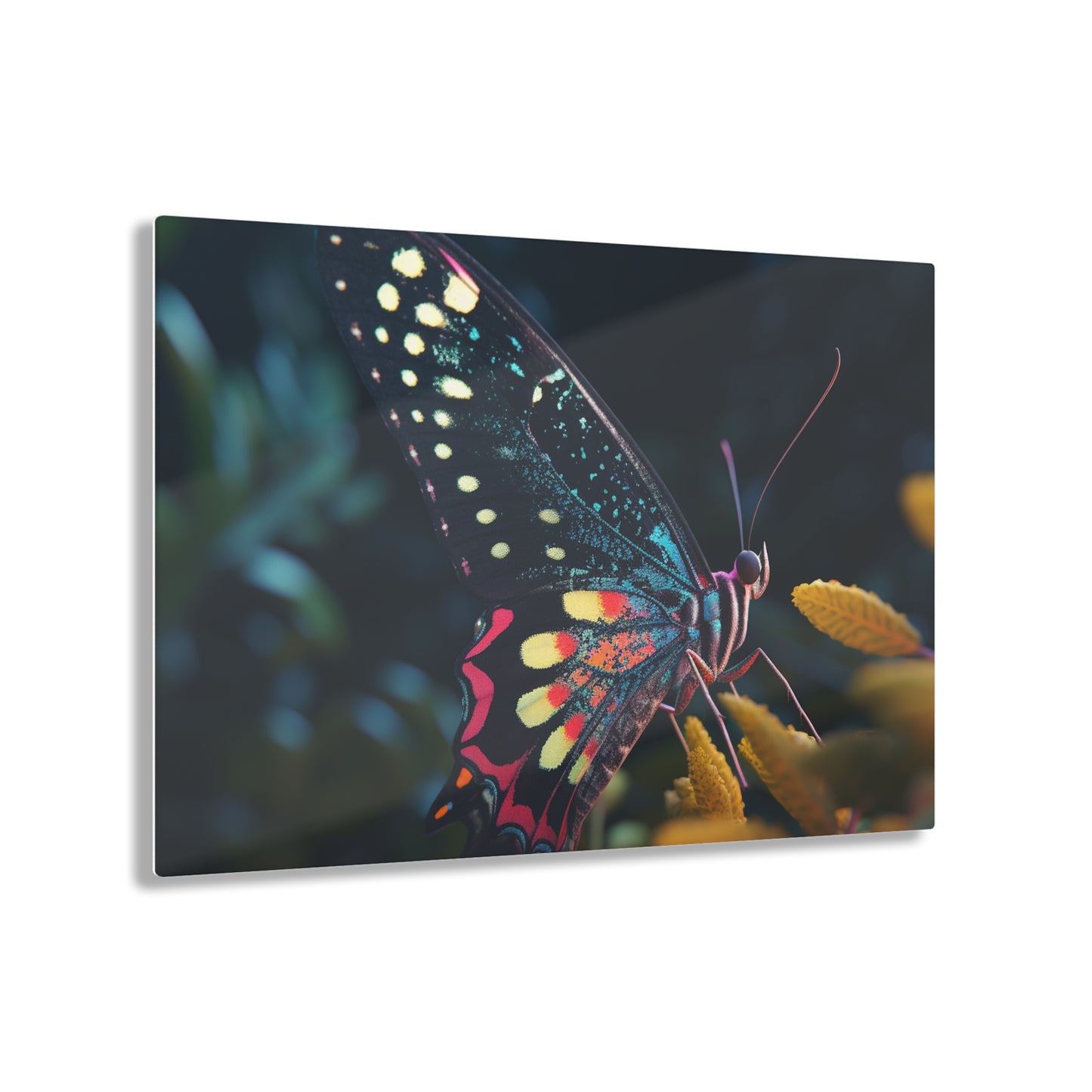 Acrylic Prints Hyper Colorful Butterfly Macro 2