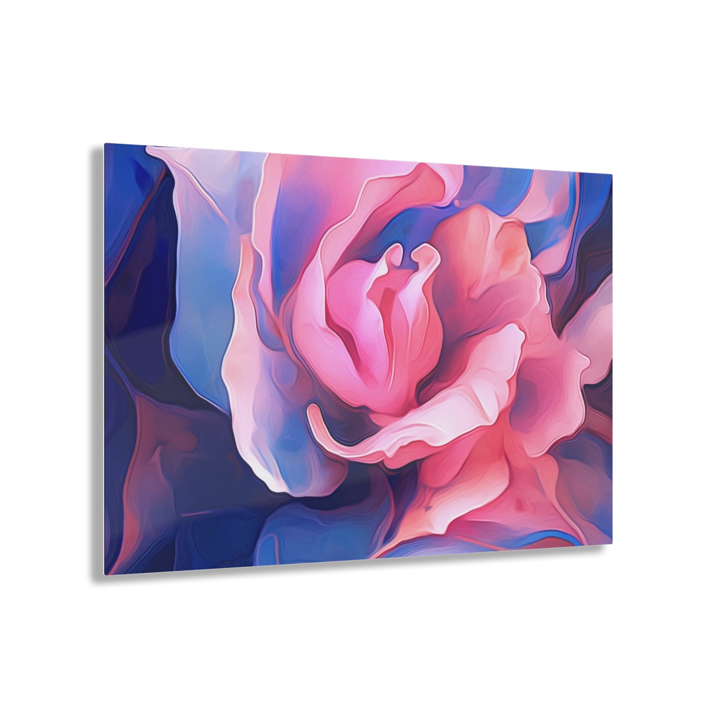 Acrylic Prints Pink & Blue Tulip Rose 1