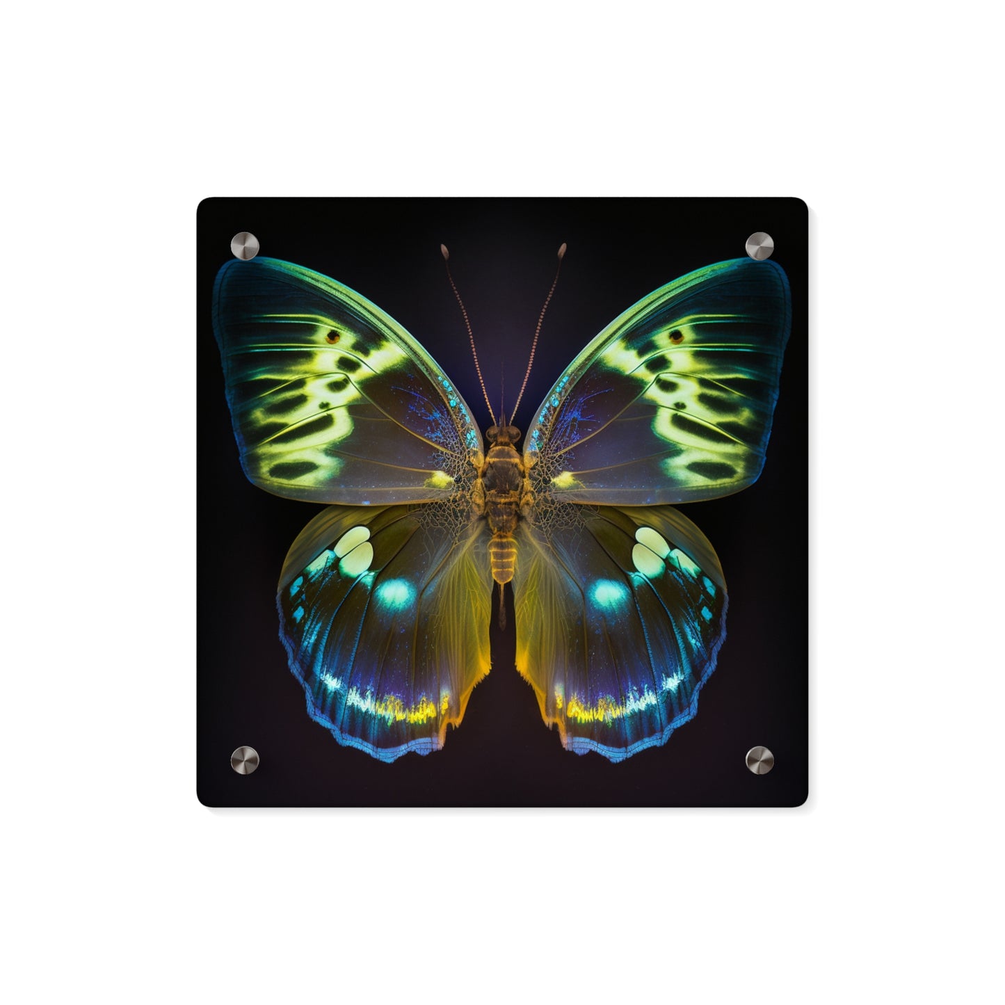 Acrylic Wall Art Panels Neon Hue Butterfly 1