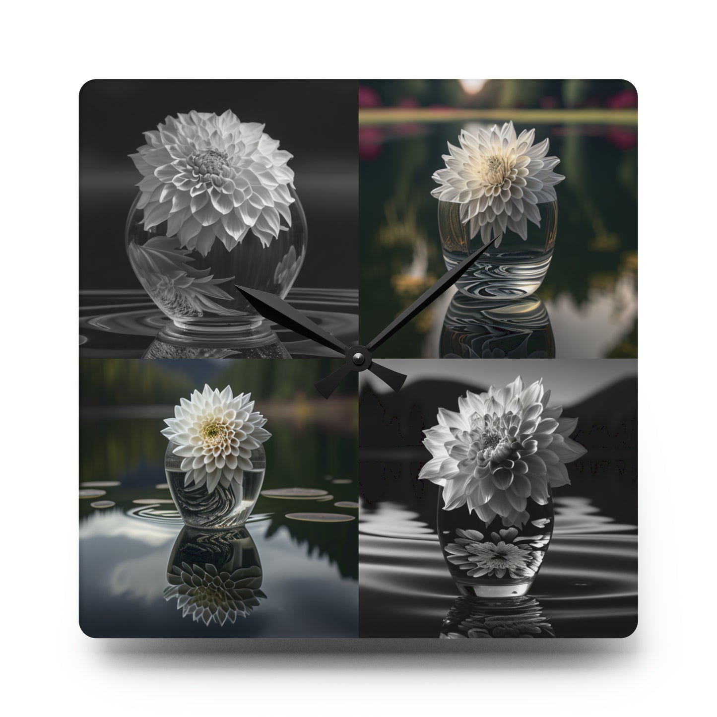 Acrylic Wall Clock White Dahlia 5