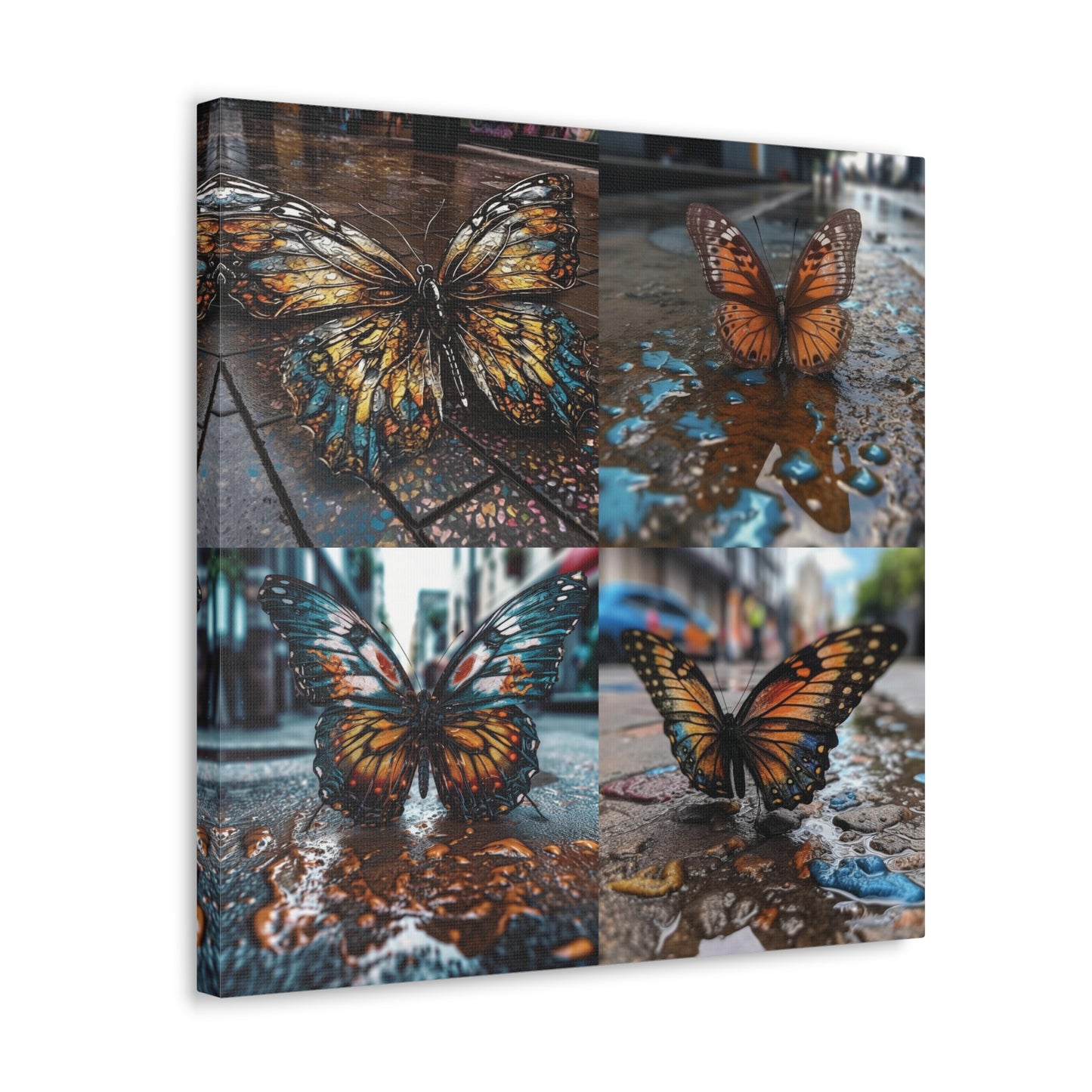 Canvas Gallery Wraps Water Butterfly Street 5