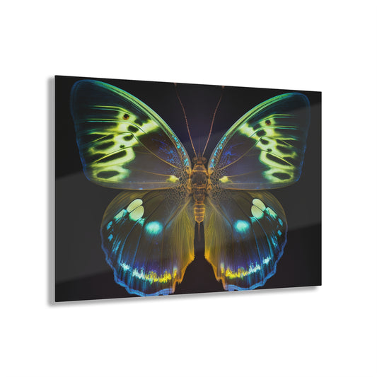 Acrylic Prints Neon Hue Butterfly 1