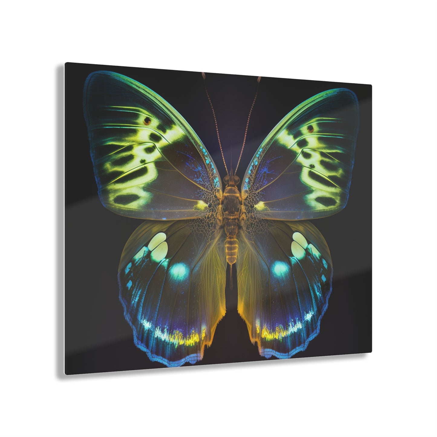 Acrylic Prints Neon Hue Butterfly 1
