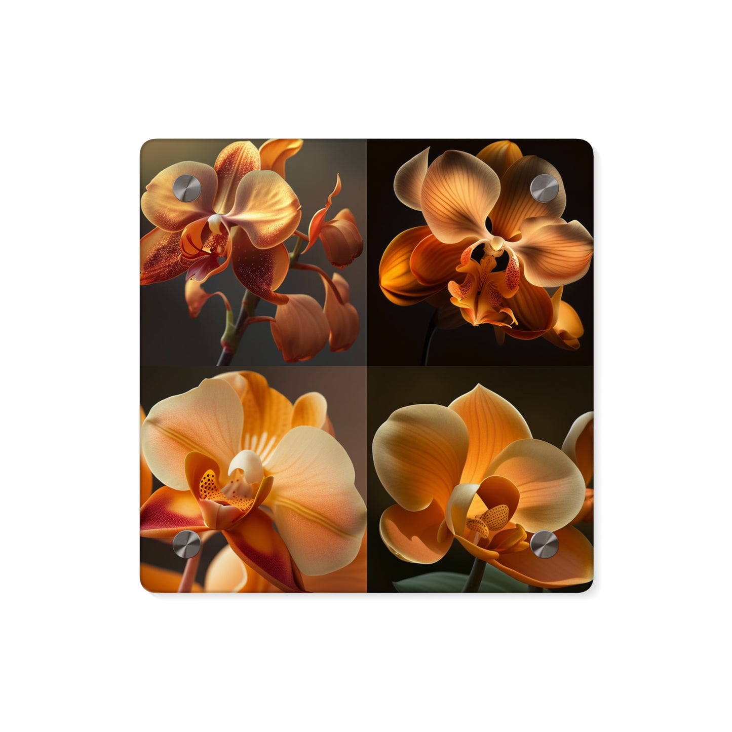 Acrylic Wall Art Panels Orange Orchid 5