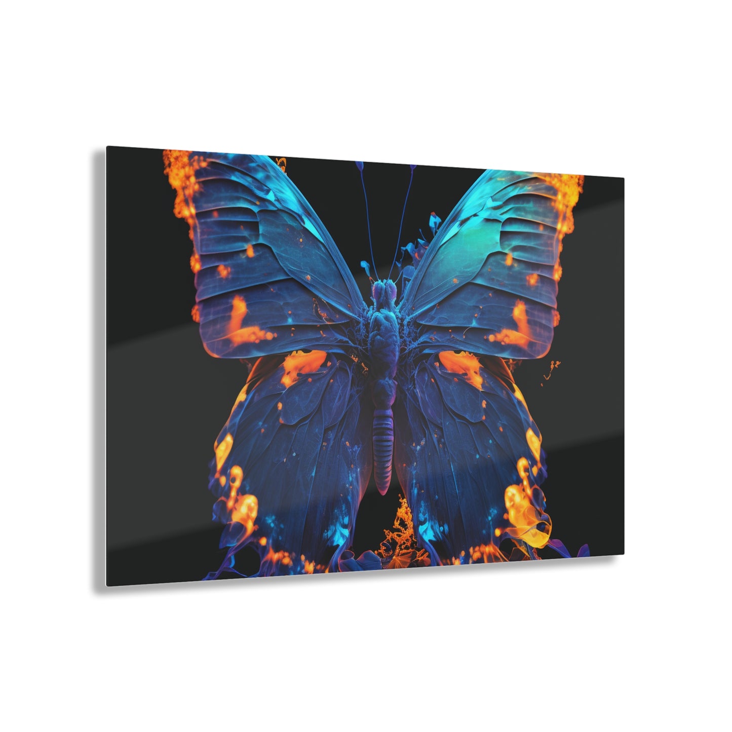 Acrylic Prints Thermal Butterfly 3