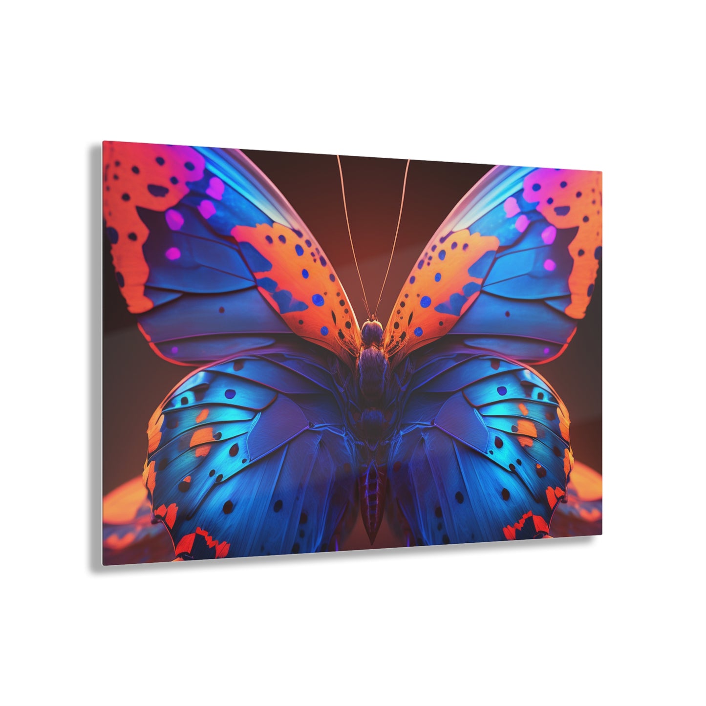 Acrylic Prints Neon Butterfly Macro 3