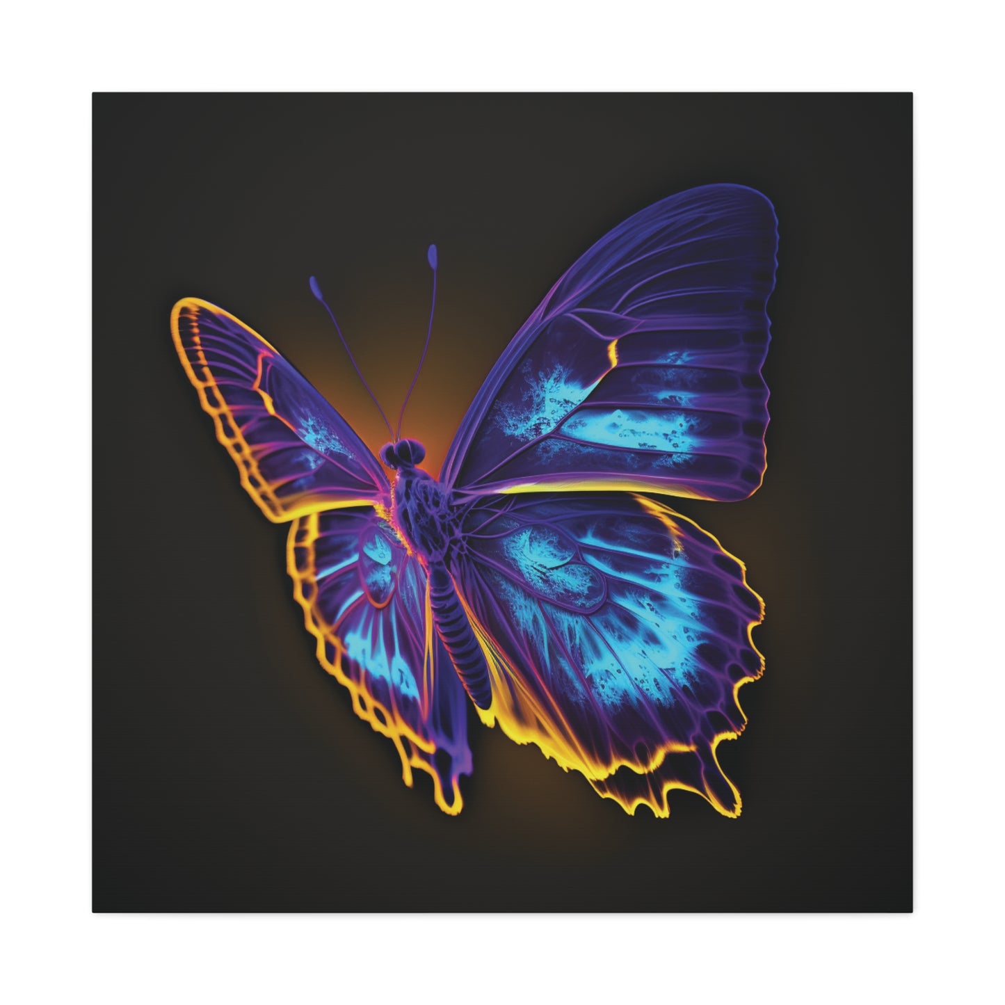 Canvas Gallery Wraps Thermal Butterfly 4