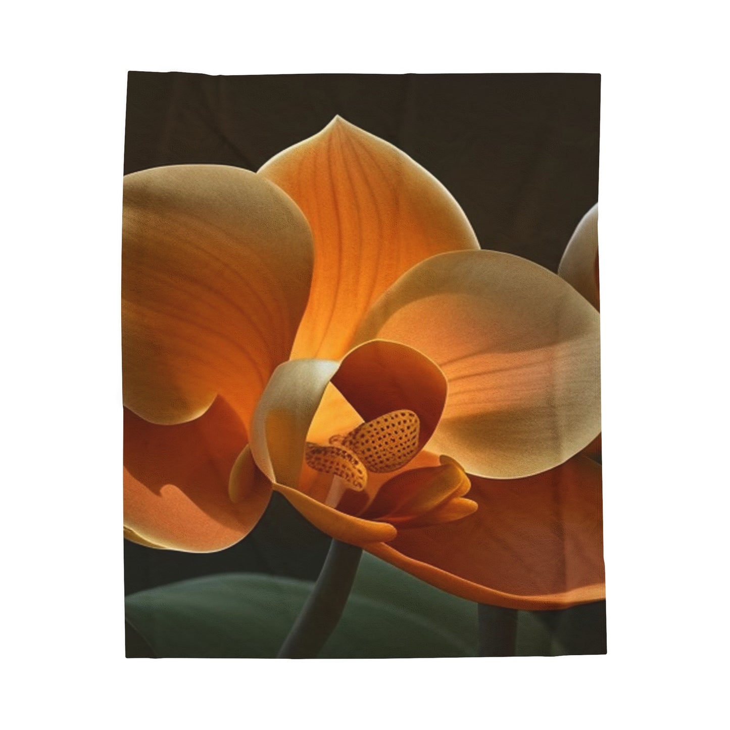 Velveteen Plush Blanket Orange Orchid 4