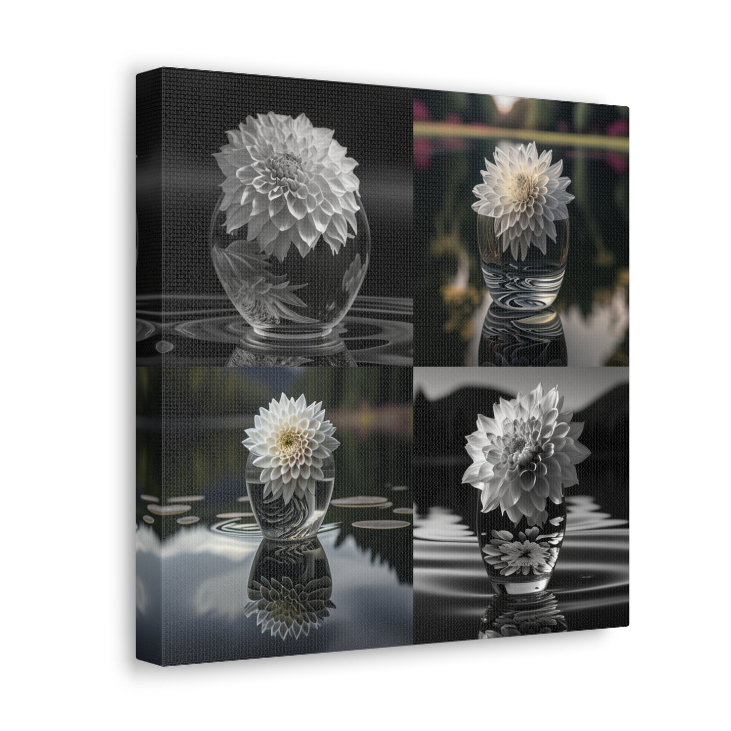 Canvas Gallery Wraps White Dahlia 5