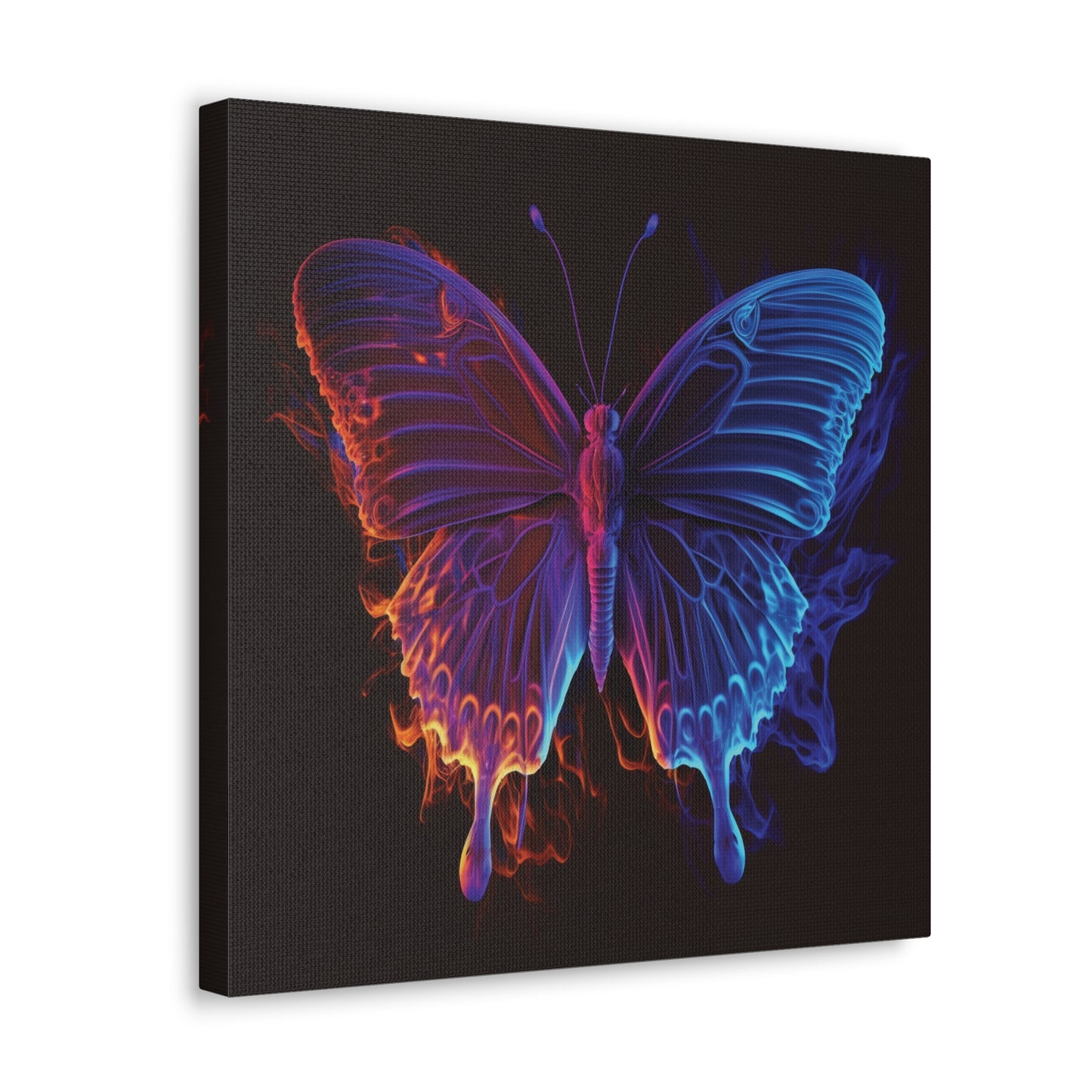 Canvas Gallery Wraps Thermal Butterfly 1