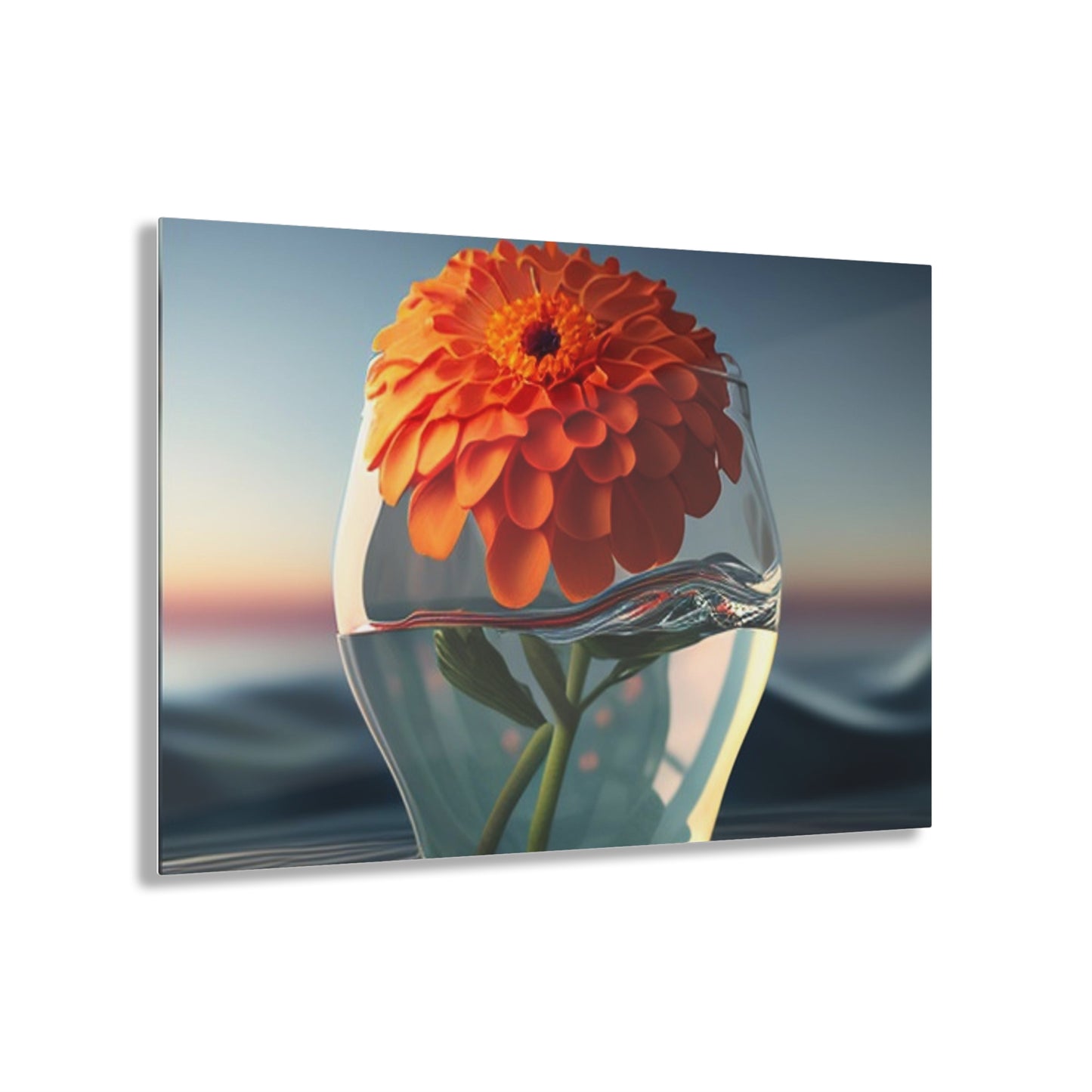 Acrylic Prints Orange Zinnia 4