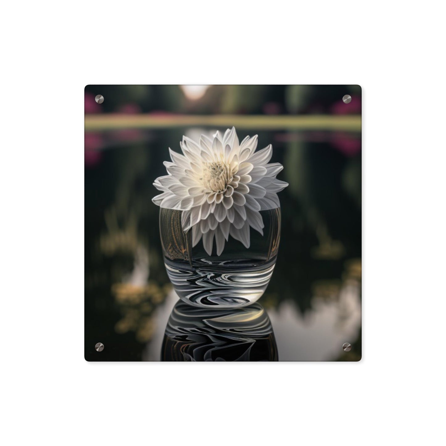 Acrylic Wall Art Panels White Dahlia 2