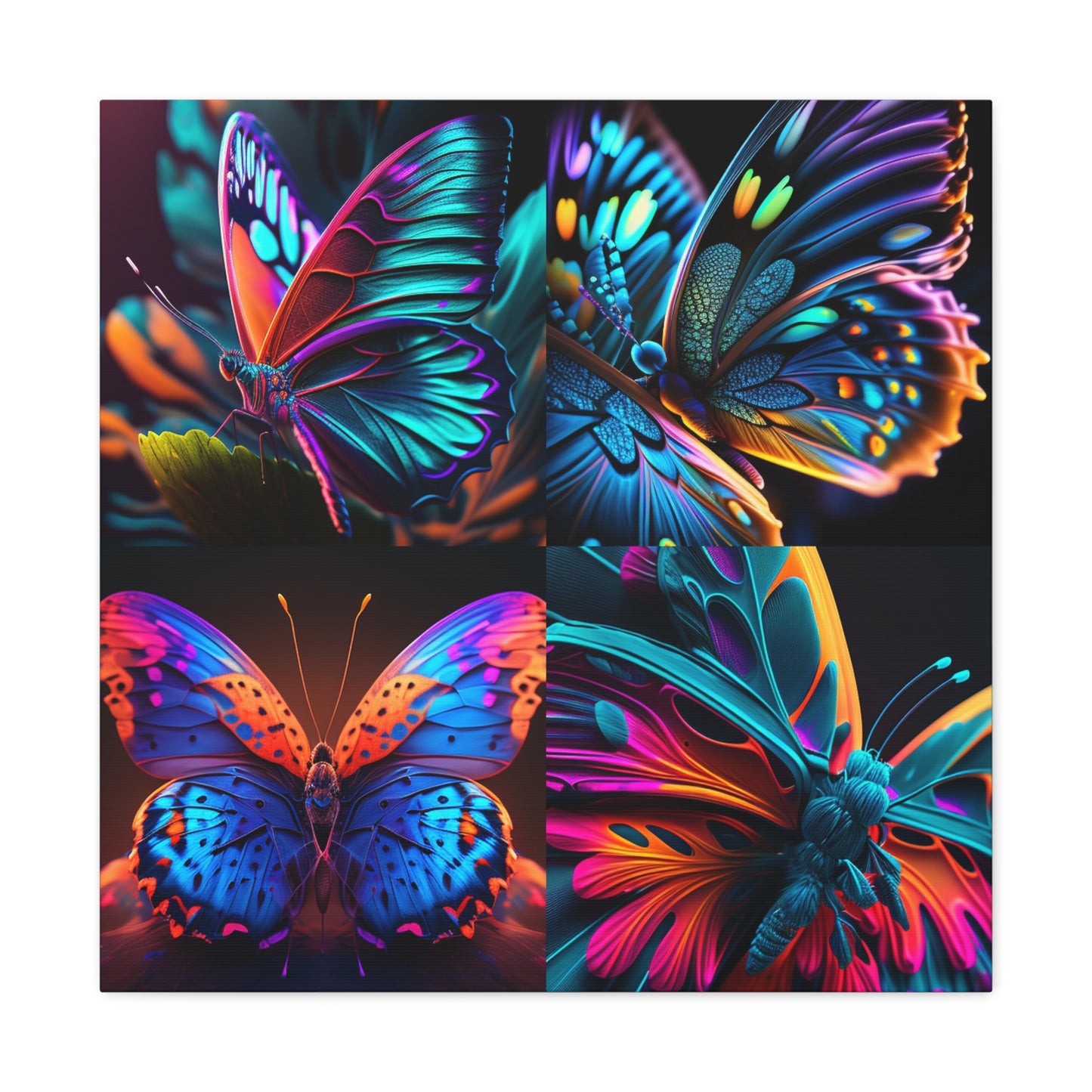 Canvas Gallery Wraps Neon Butterfly Macro 5