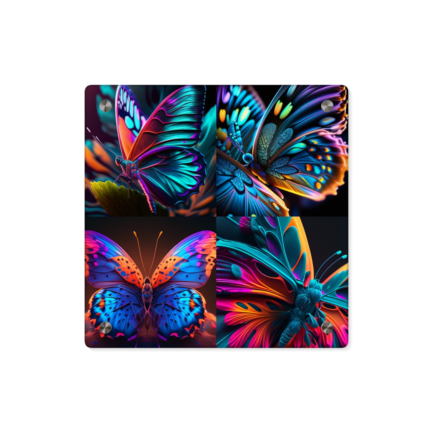 Acrylic Wall Art Panels Neon Butterfly Macro 5