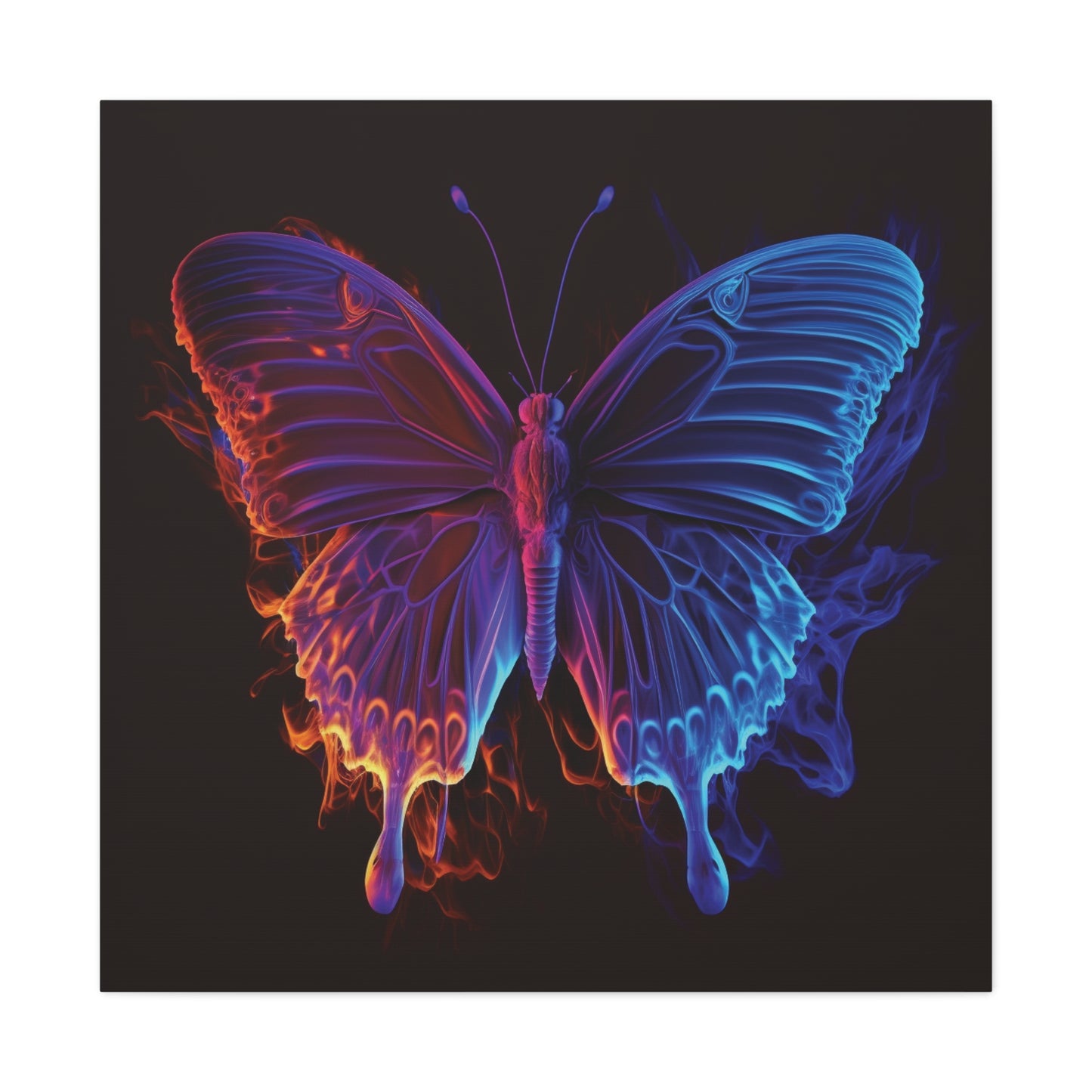 Canvas Gallery Wraps Thermal Butterfly 1