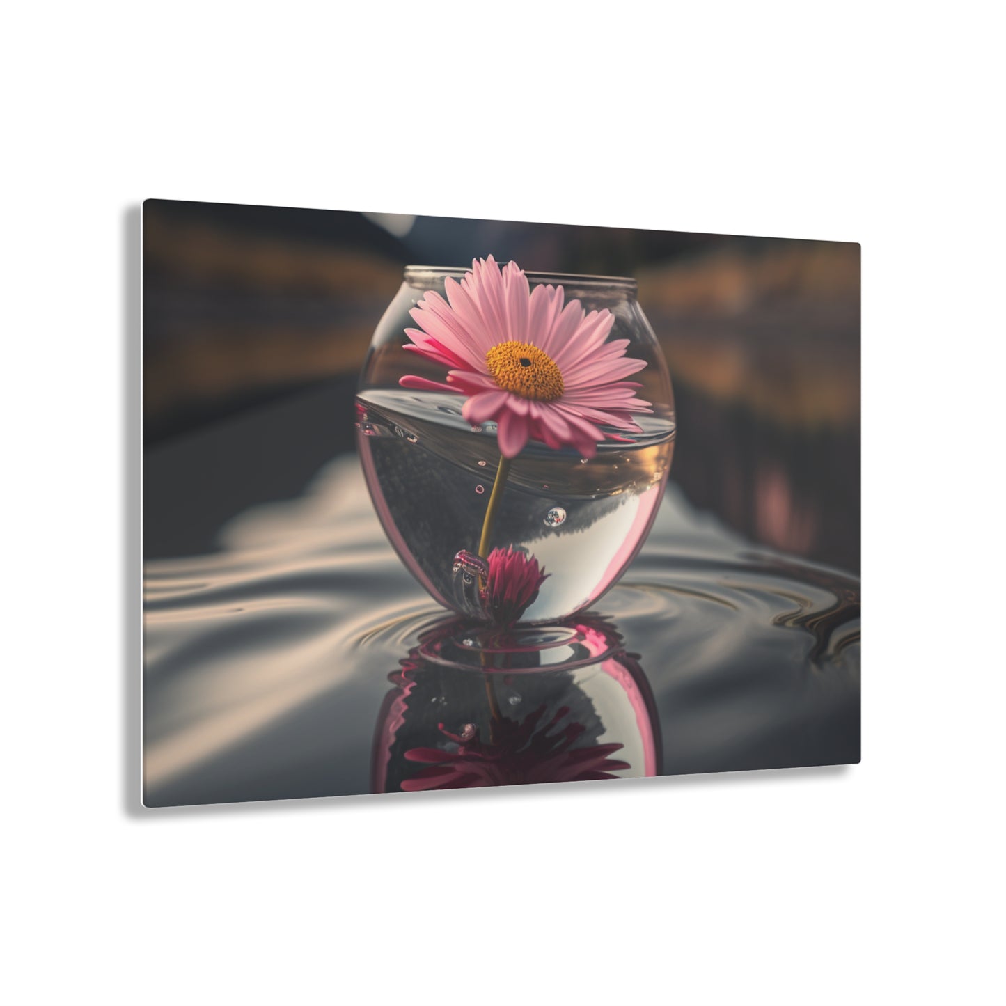 Acrylic Prints Daisy in a vase 2