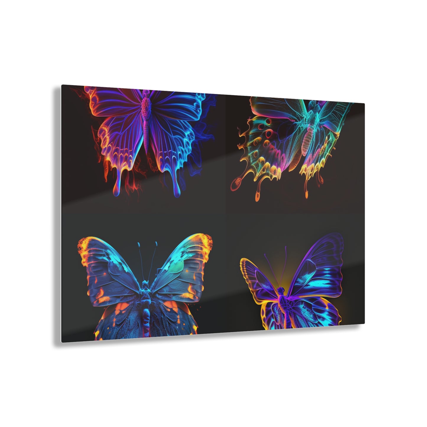 Acrylic Prints Thermal Butterfly 5