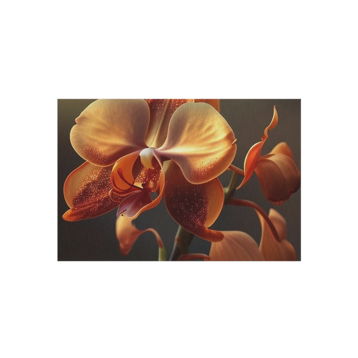 Outdoor Rug  Orange Orchid 1