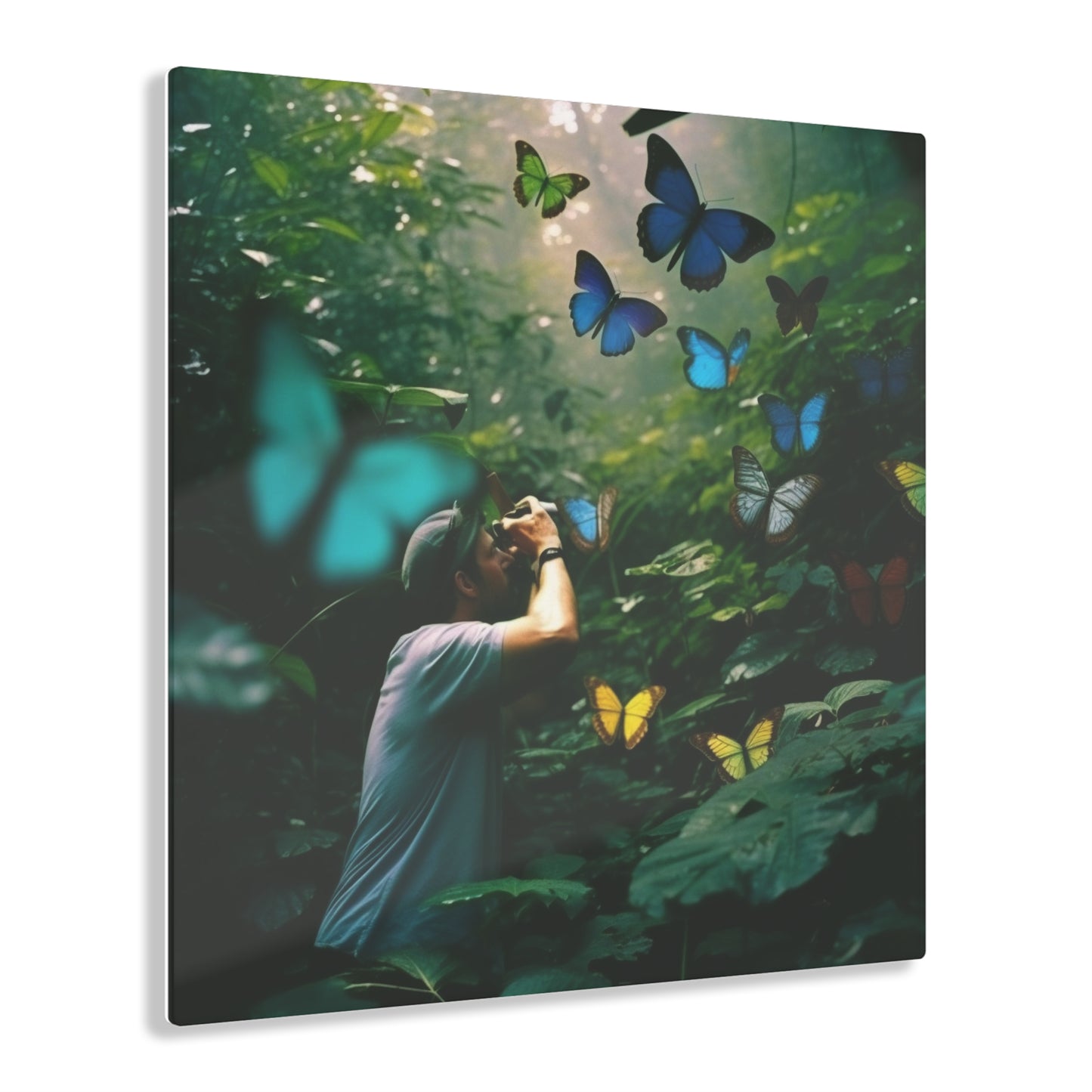 Acrylic Prints Jungle Butterfly 1