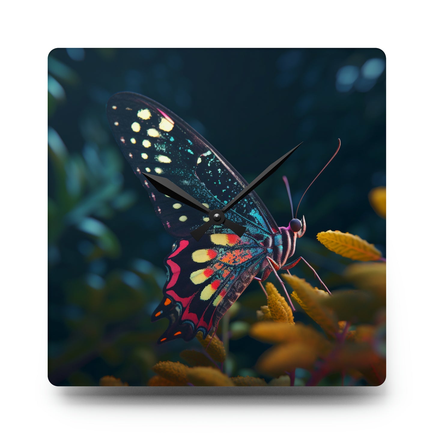 Acrylic Wall Clock Hyper Colorful Butterfly Macro 2