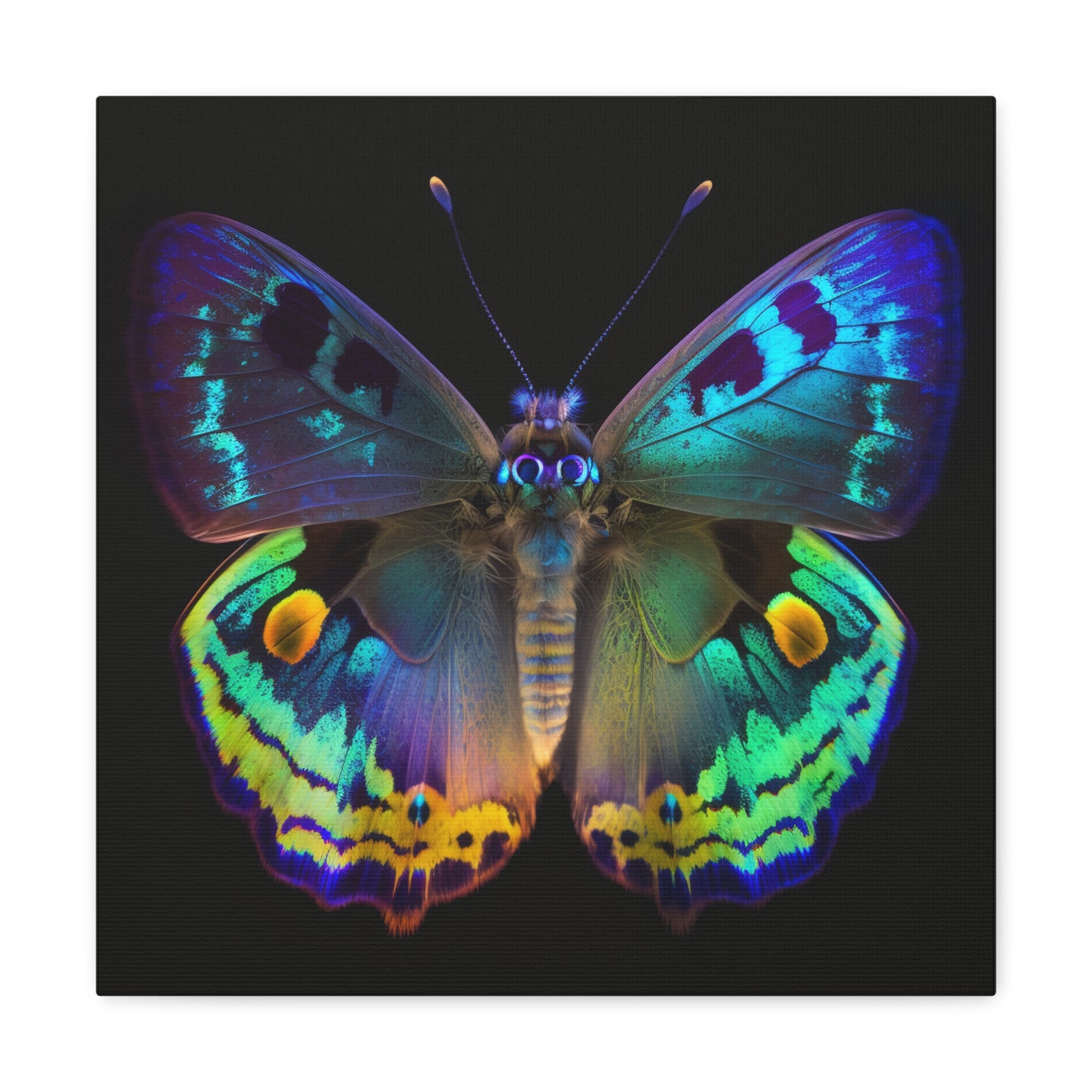 Canvas Gallery Wraps Neon Hue Butterfly 4