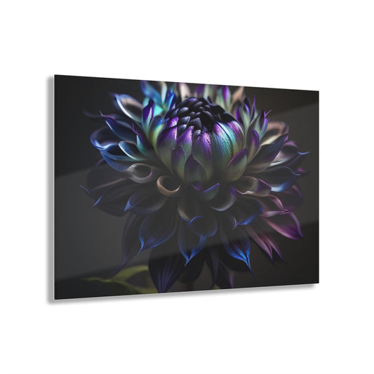 Acrylic Prints Dahlia Purple 4