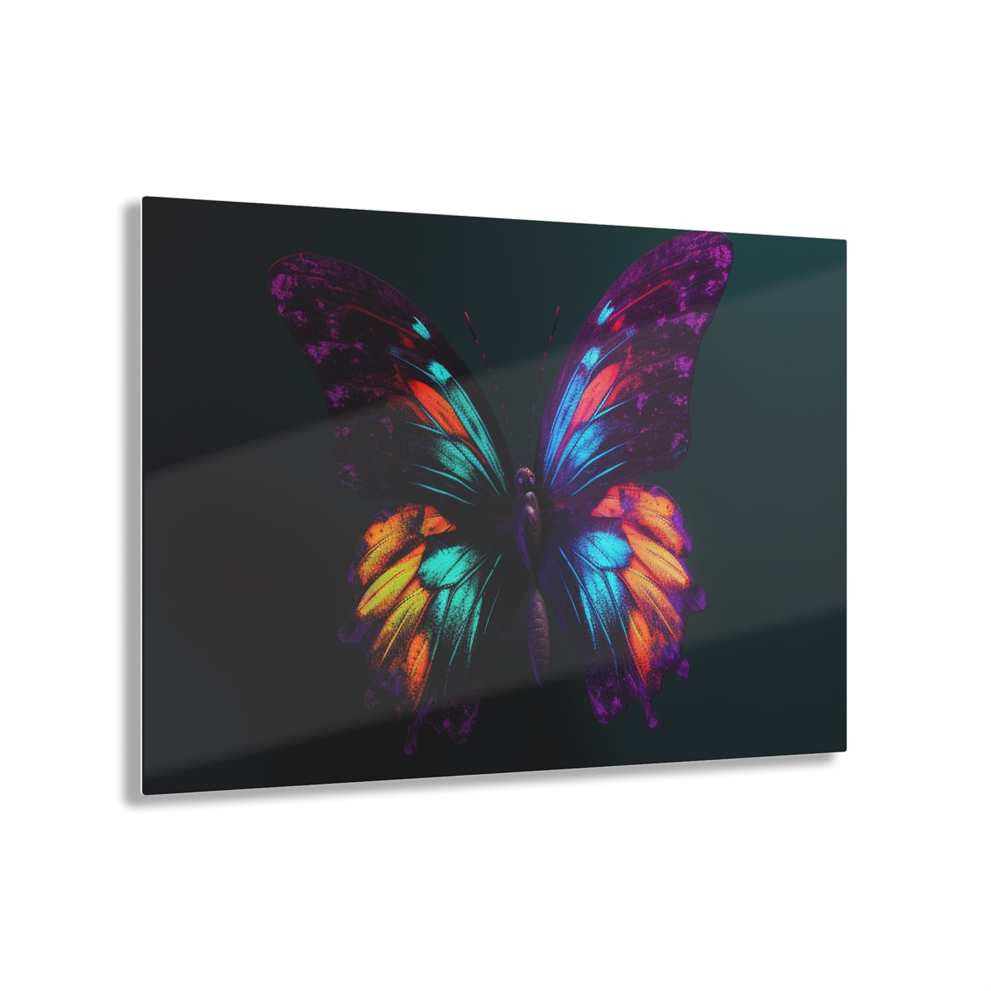 Acrylic Prints Hyper Colorful Butterfly Purple 1