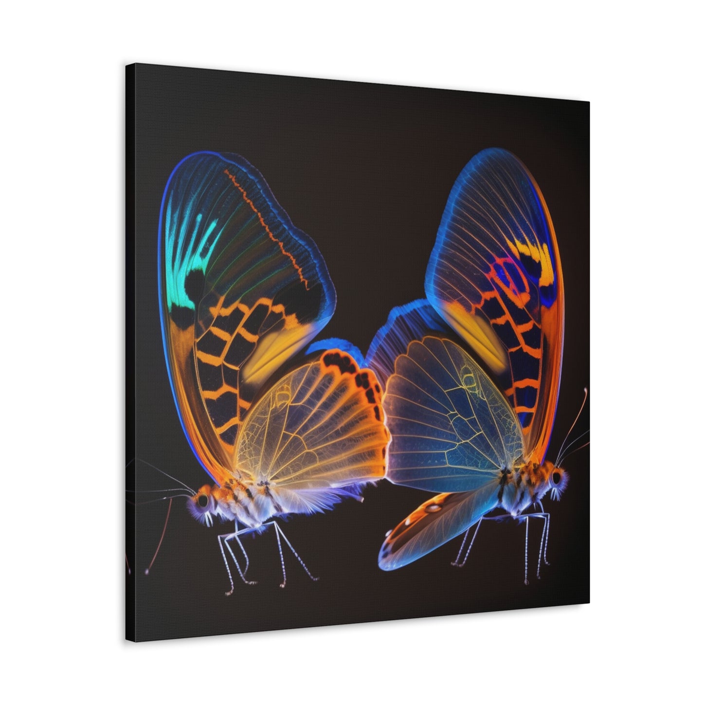 Canvas Gallery Wraps Neon Glo Butterfly 2