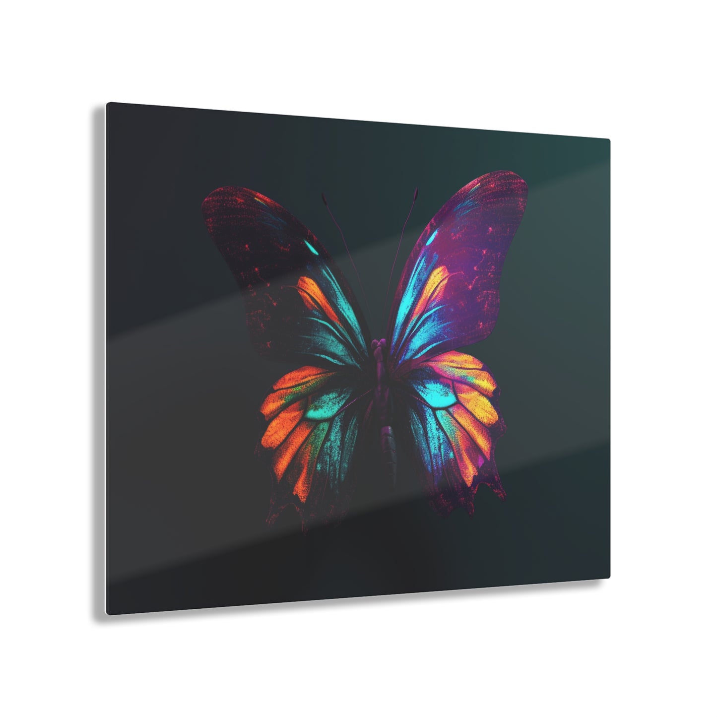 Acrylic Prints Hyper Colorful Butterfly Macro 4