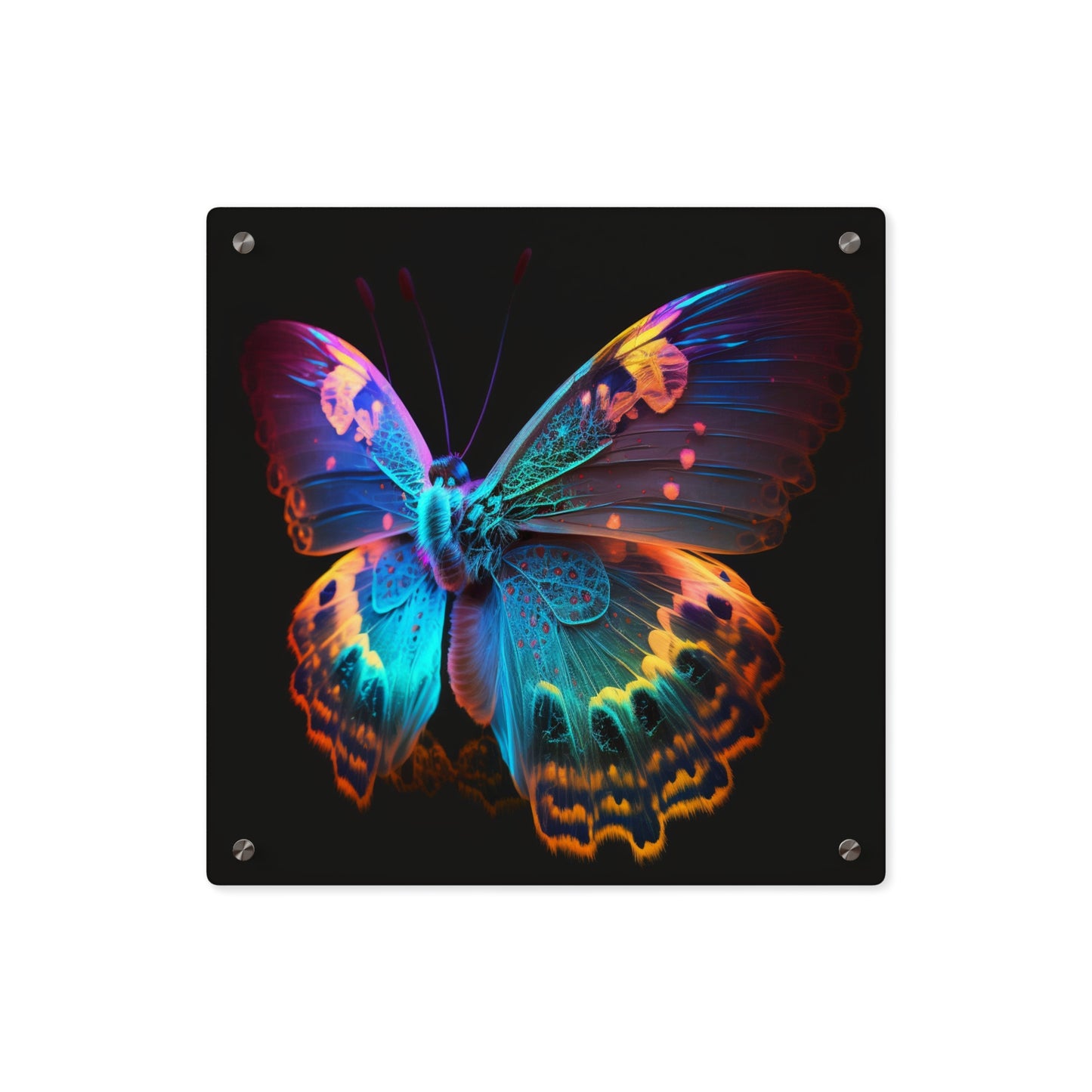 Acrylic Wall Art Panels Raw Hyper Color Butterfly 4