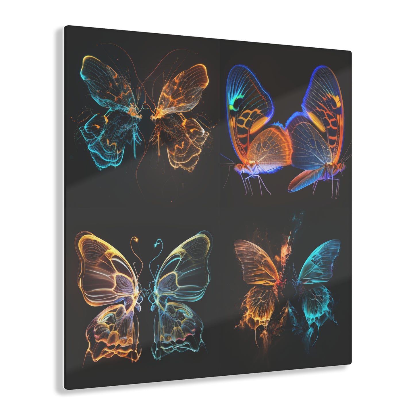 Acrylic Prints Neon Glo Butterfly 5