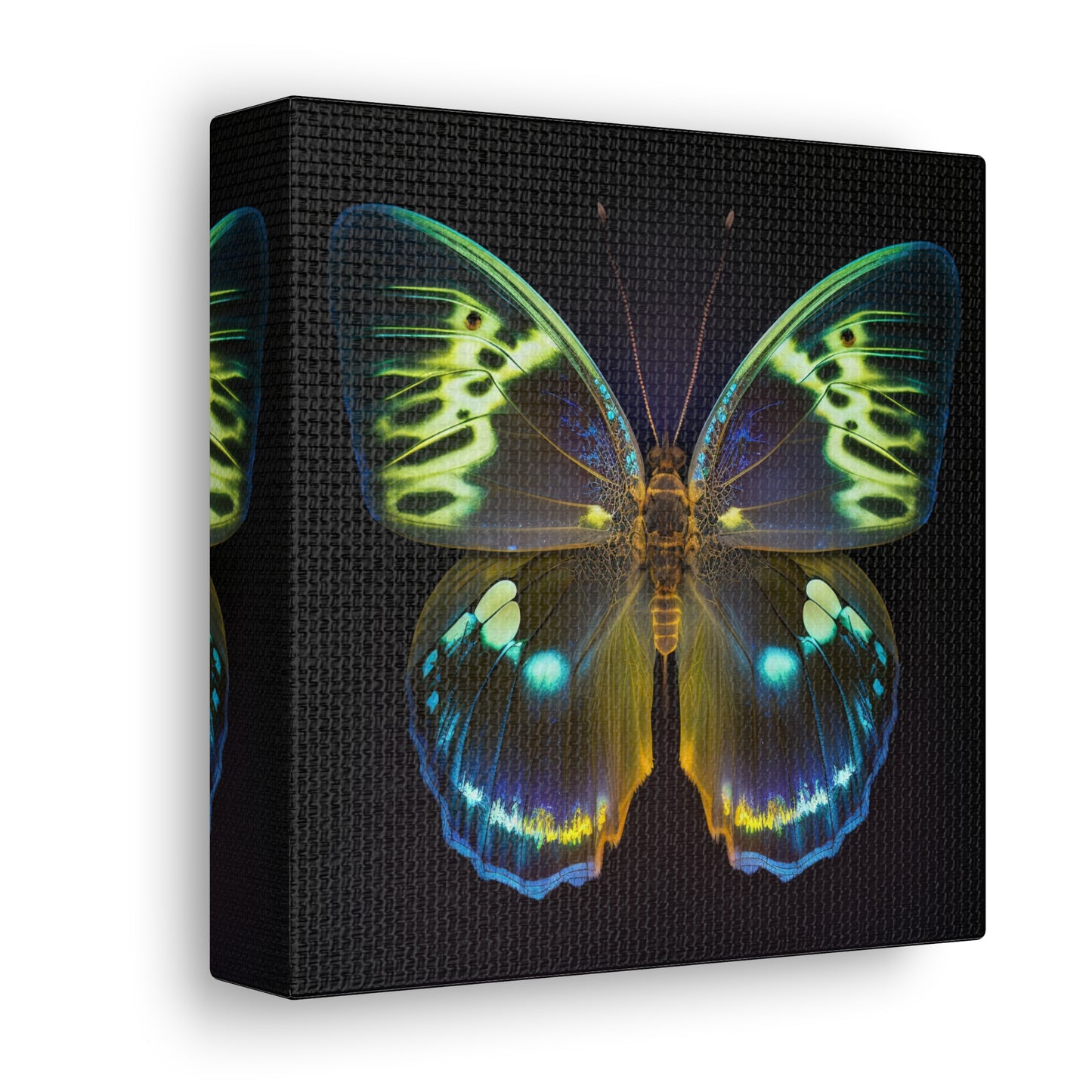 Canvas Gallery Wraps Neon Hue Butterfly 1