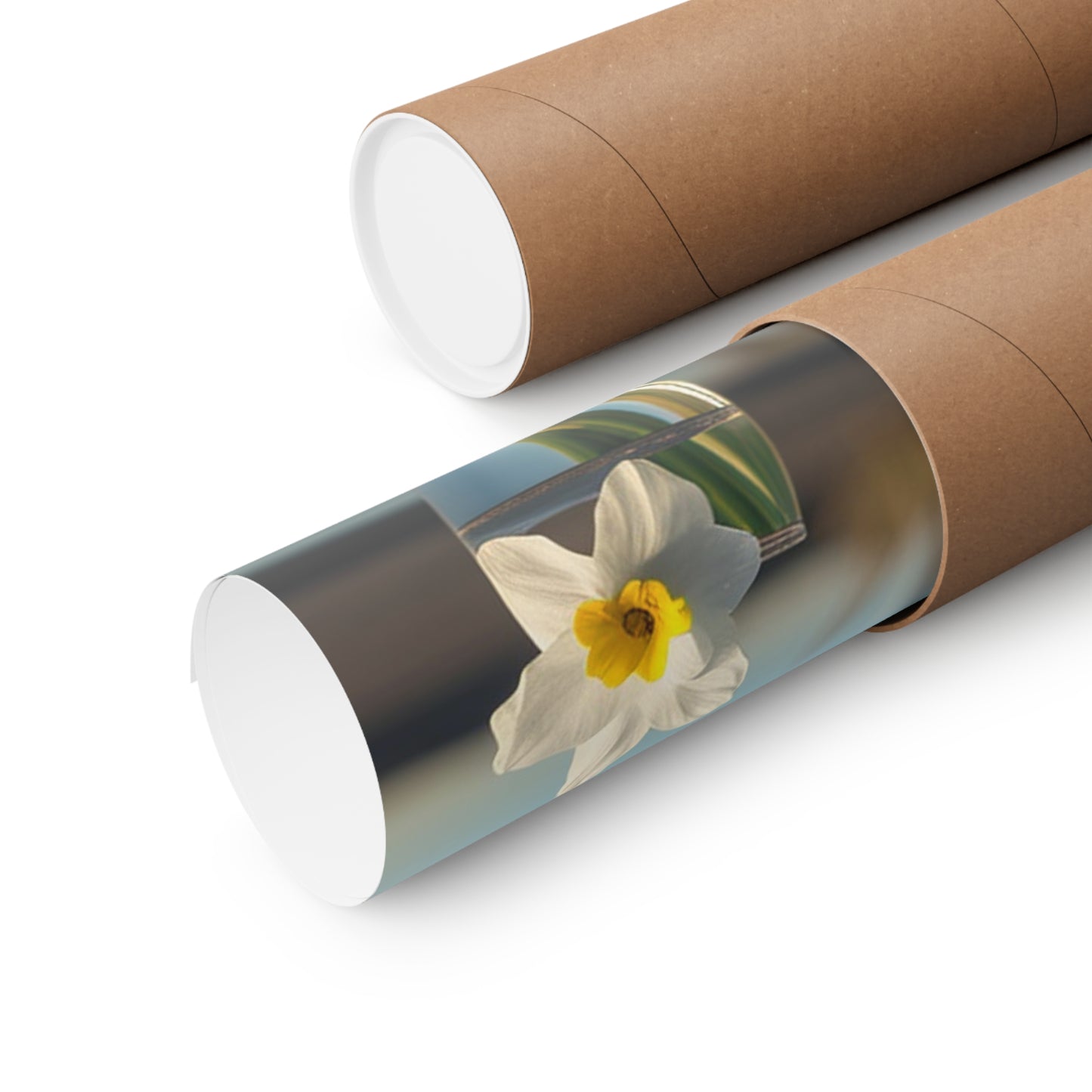 Premium Matte Vertical Posters Daffodil 4