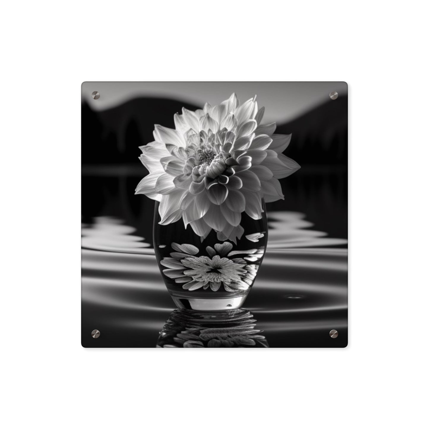 Acrylic Wall Art Panels White Dahlia 4