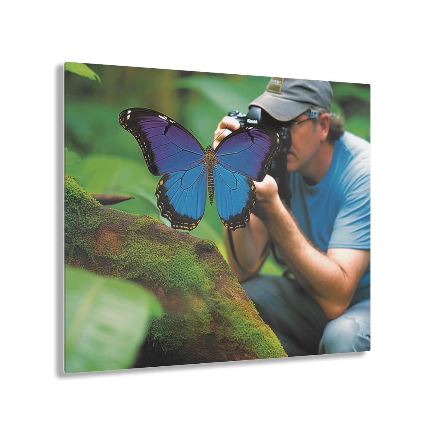 Acrylic Prints Jungle Butterfly 4