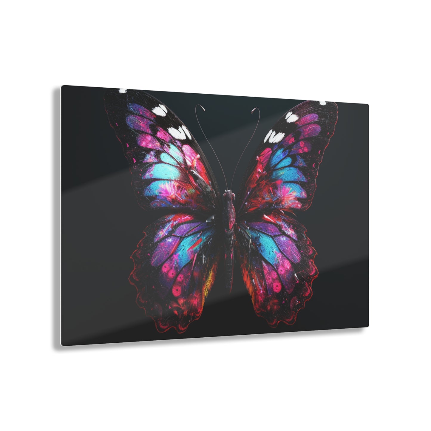 Acrylic Prints Hyper Butterfly Real