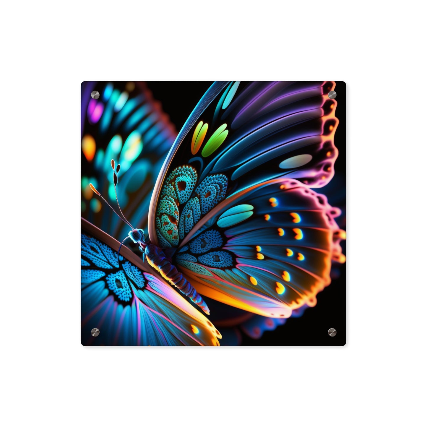 Acrylic Wall Art Panels Neon Butterfly Macro 2