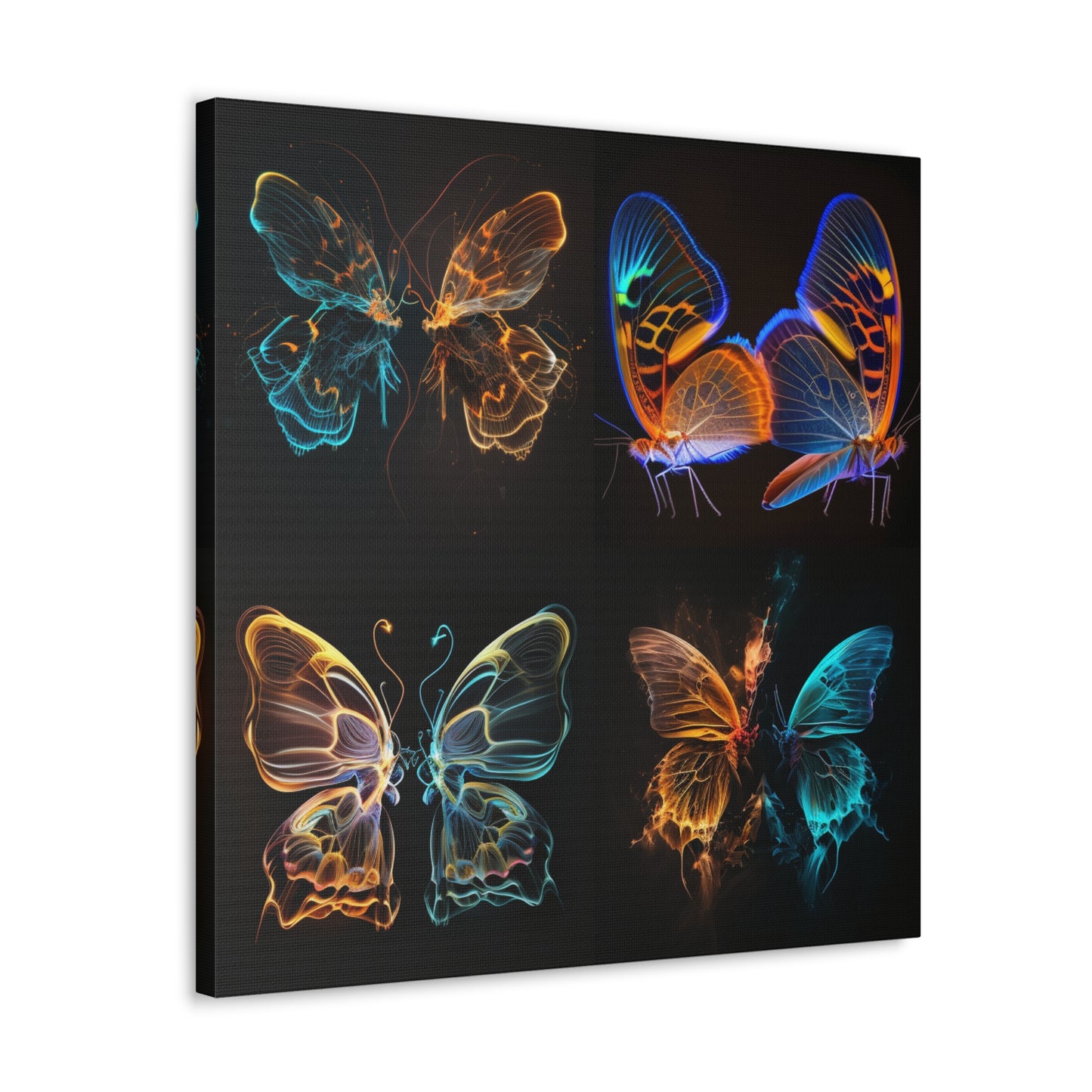 Canvas Gallery Wraps Neon Glo Butterfly 5