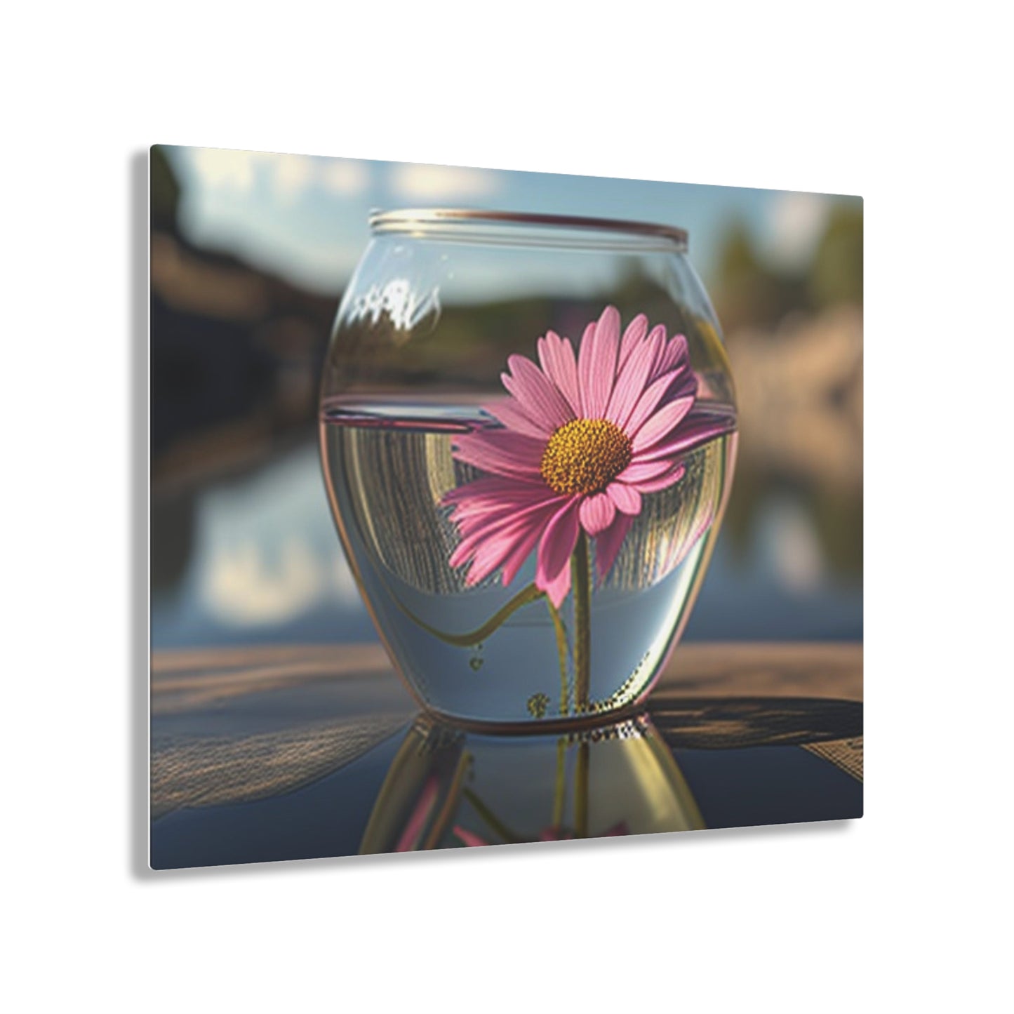 Acrylic Prints Pink Daisy 3