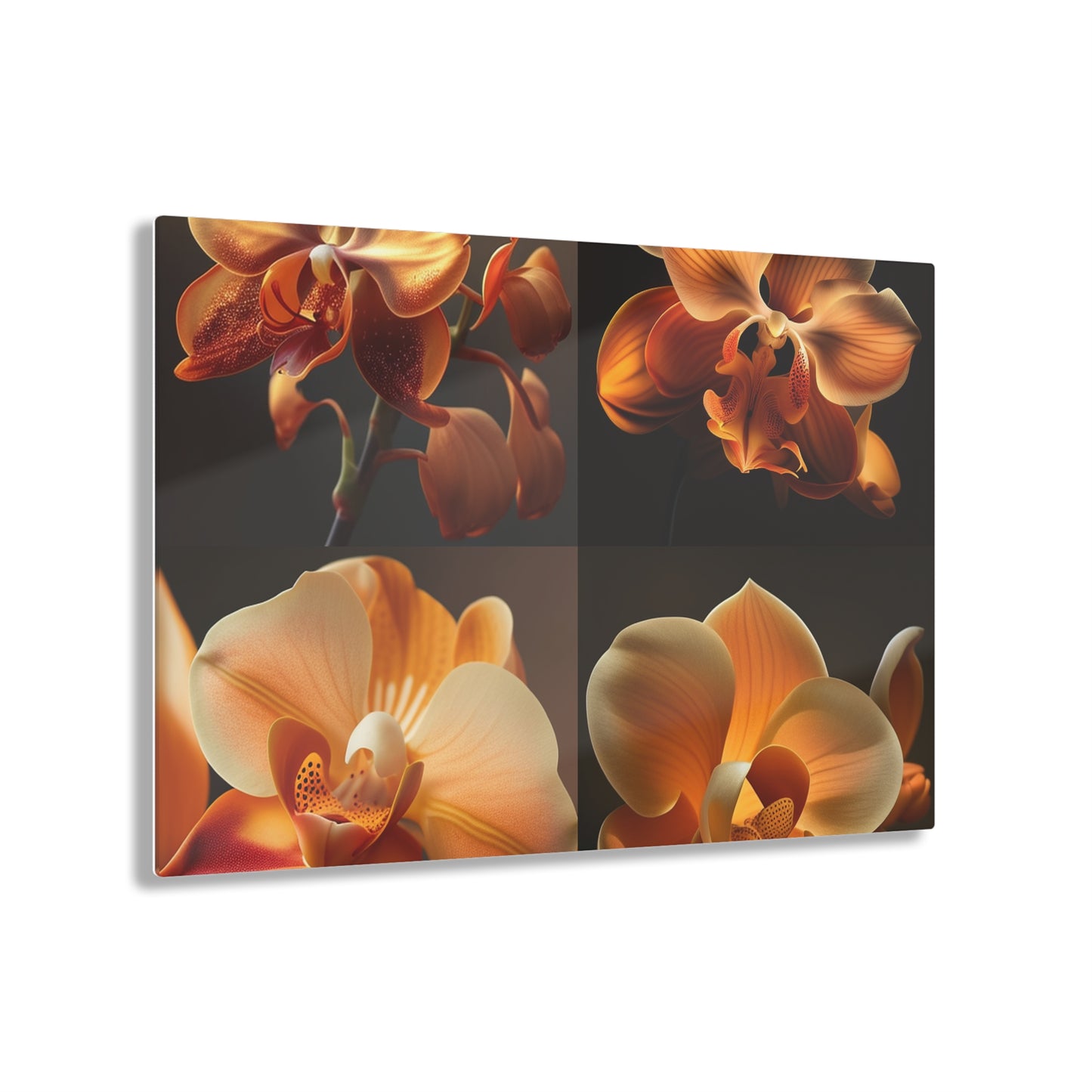 Acrylic Prints Orange Orchid 5