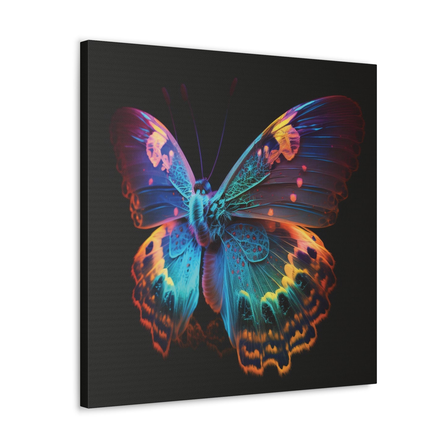 Canvas Gallery Wraps Raw Hyper Color Butterfly 4