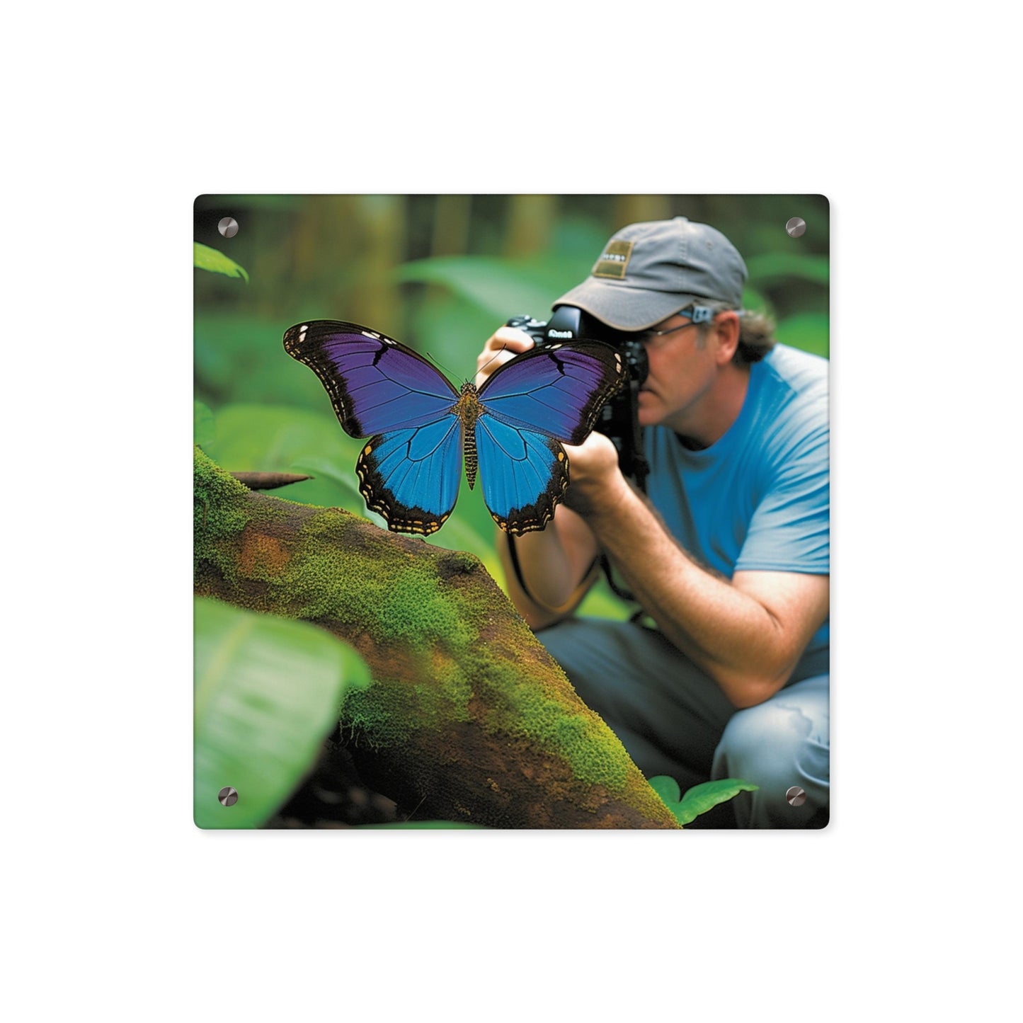 Acrylic Wall Art Panels Jungle Butterfly 4