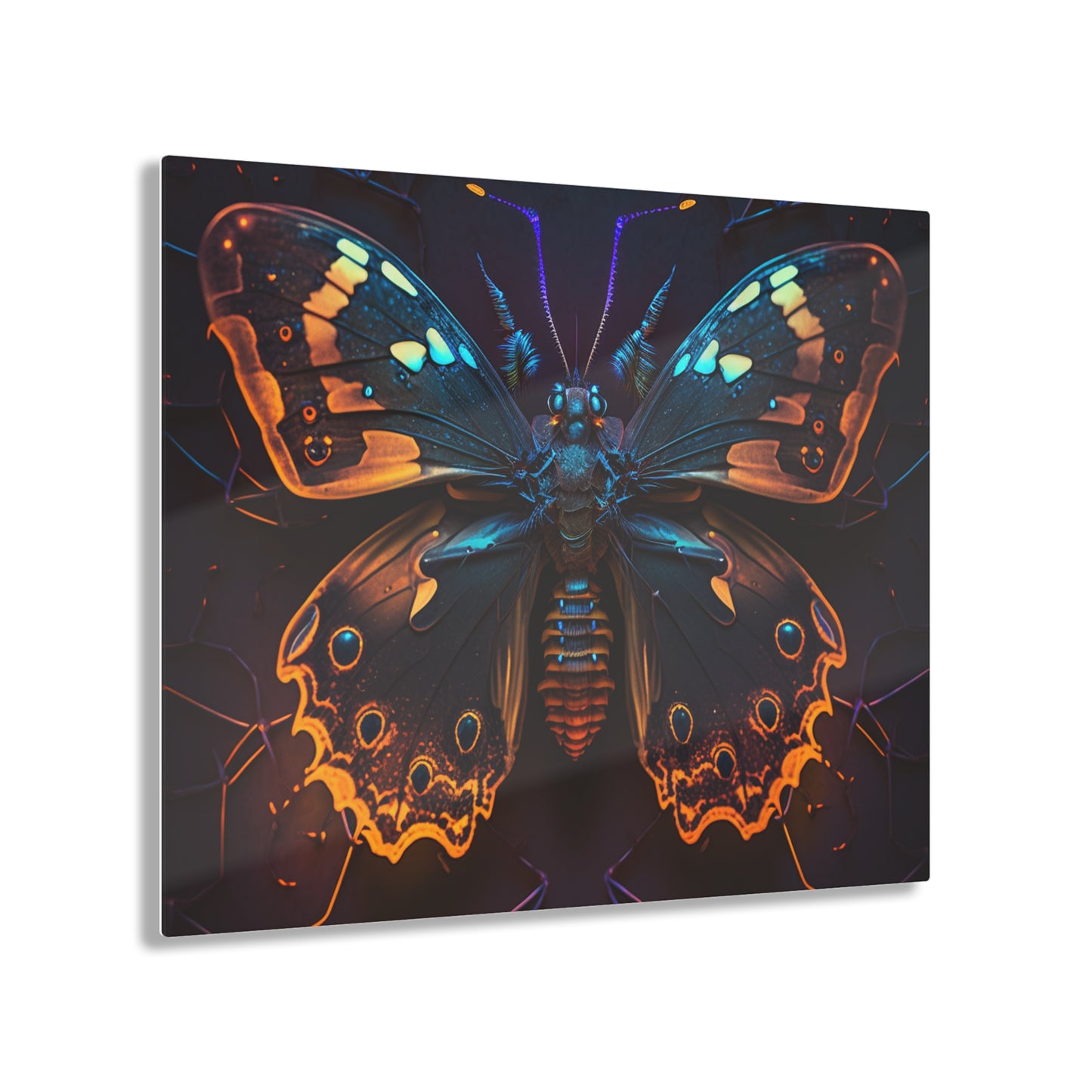 Acrylic Prints Neon Hue Butterfly 2