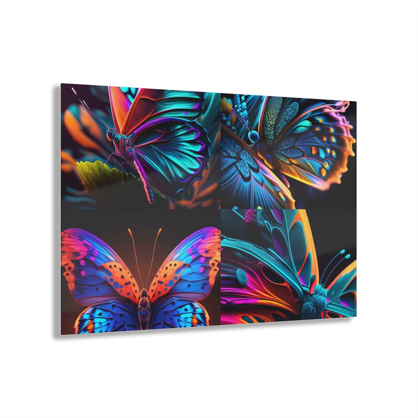 Acrylic Prints Neon Butterfly Macro 5