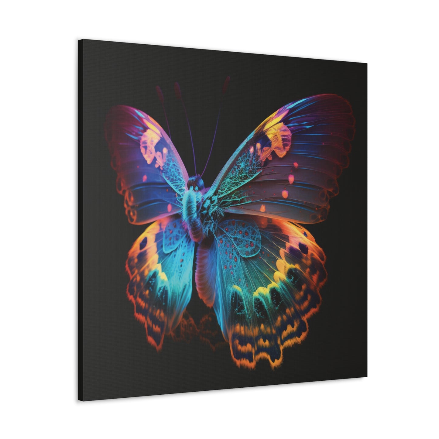 Canvas Gallery Wraps Raw Hyper Color Butterfly 4