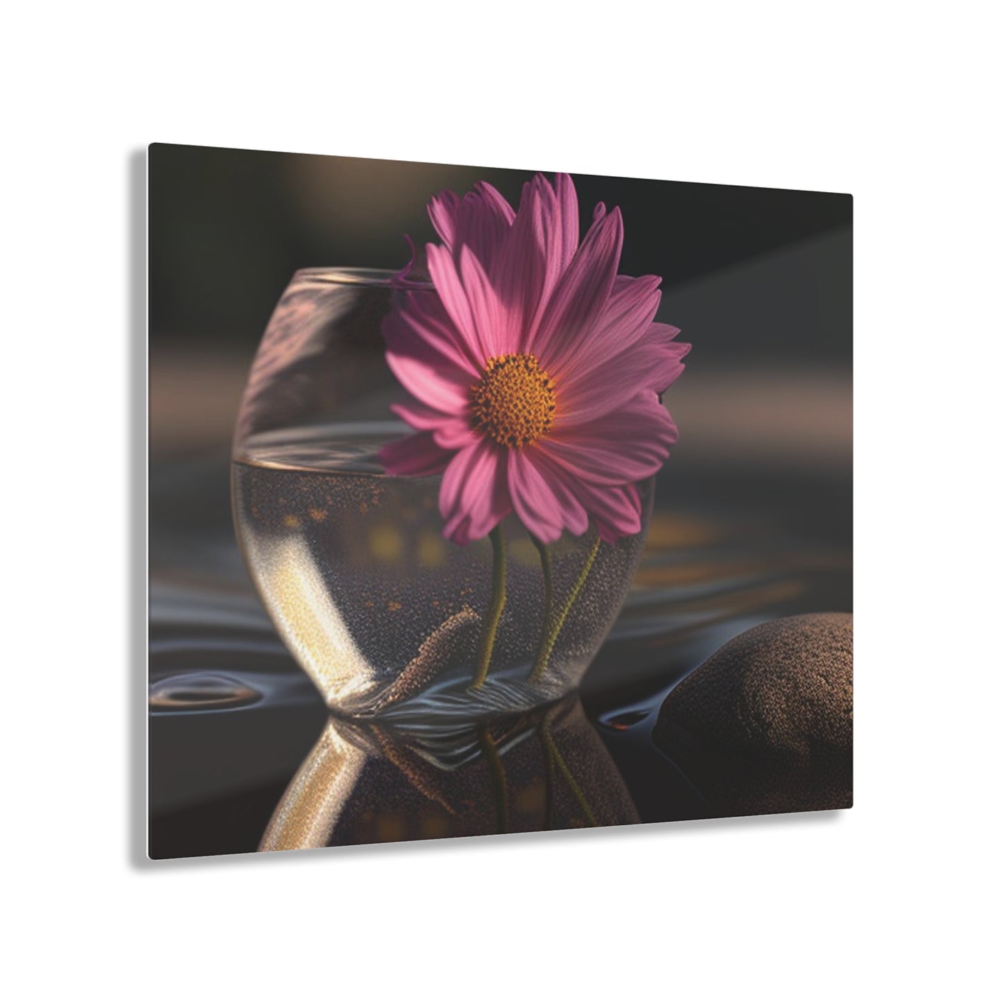 Acrylic Prints Pink Daisy 4