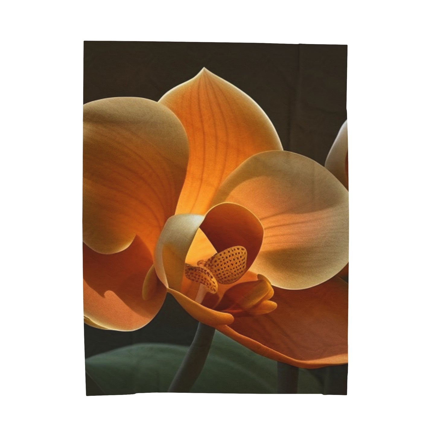 Velveteen Plush Blanket Orange Orchid 4